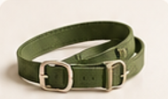 Collier vert pour chien