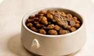 Gamelle remplie de croquettes